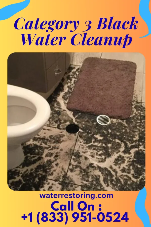 Category 3 Black Water Cleanup in Lancaster, KY