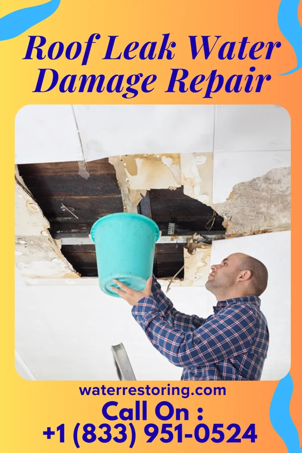 Roof Leak Water Damage Repair in Lancaster, KY