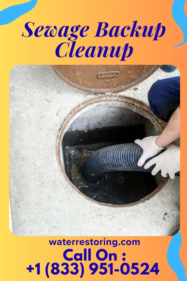 Sewage Backup Cleanup in Lancaster, KY