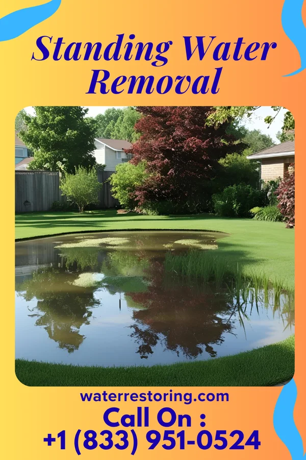 Standing Water Removal in Lancaster, KY